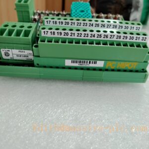 TRICONEX 9561-810
