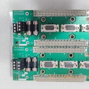 TRICONEX 2281