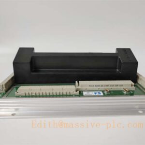TRICONEX 2481